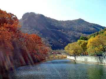 宁波青年旅行社（宁波青年旅行社旅游团官网）